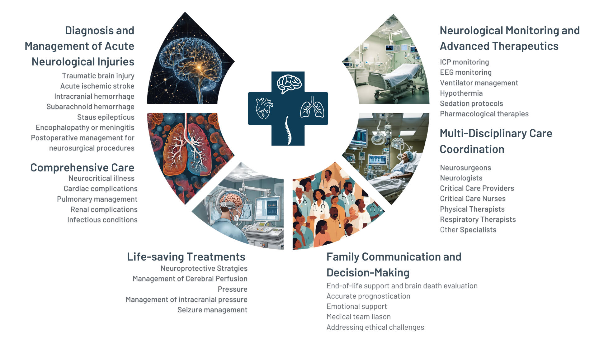 Neurointensivist Role